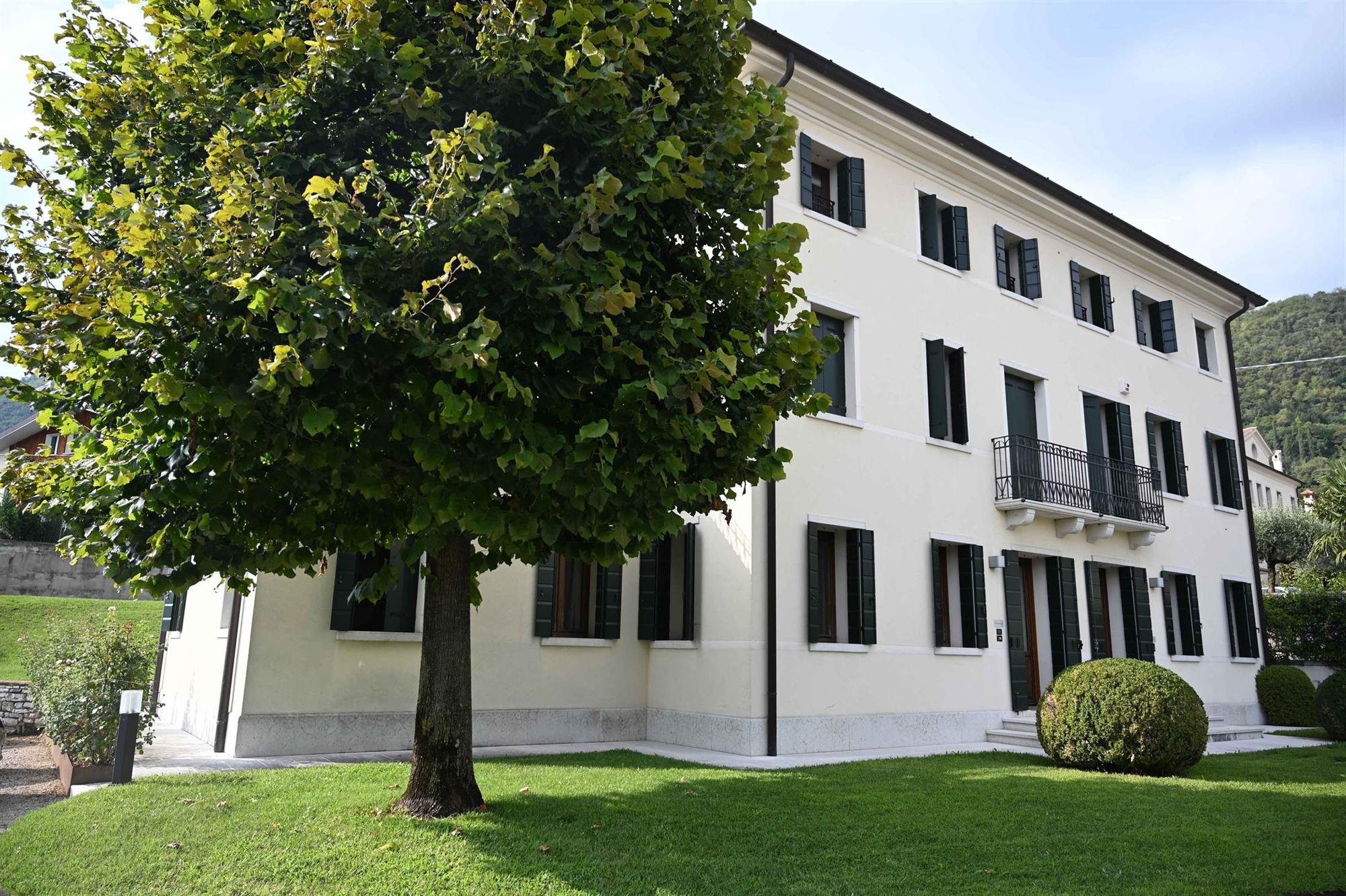 Retail food assortment representing Tramite Group's long-standing market history